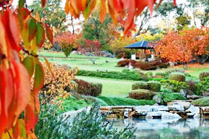 Japanese Gardens in Cowra